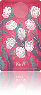 14：TULIP（チューリップ）