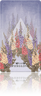 18：FOXGLOVE（ジギタリス）