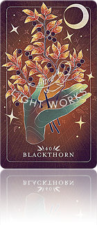 40：BLACKTHORN（スピノサスモモ）