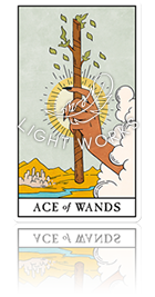 ACE OF WANDS（ワンドのエース）