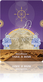 Moonflower（月の花）