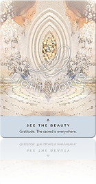 SEE THE BEAUTY（美を見る）