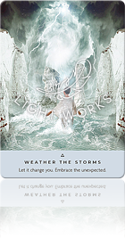WEATHER THE STORMS（嵐を乗り切る）