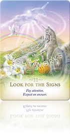 Look for the Signs（サインを探す）